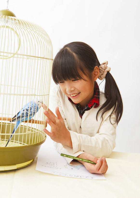 东方人,儿童,一个人,坐,笑,摸,微笑,露齿笑,竖图,室内,白天,白色背景,正面,纯洁,鸟,鹦鹉,金属制品,亚洲,仅一个女性,仅一个人,抚摸,服装,装饰,金属,鸟类,头饰,笼子,鸟笼,注视,休闲装,黄种人,一个,一只,小孩,衣服,蓝色,动物,发饰,饰品,观察,看,仅一个小孩,休闲,休闲服,可爱,童年,童趣,摄影,服饰,活泼,影棚,单个,观看,华丽,修饰,点缀,察看,关注,头绳,童真,烂漫,无邪,配饰,衬托,美观,雅致,雅观,观赏鸟,彩凤,虎皮鹦鹉,娇凤,天真,女孩,女人,女性,亚洲人,孩子,触摸,接触,坐着,半身,彩图,影棚拍摄,拍摄,发绳,女生