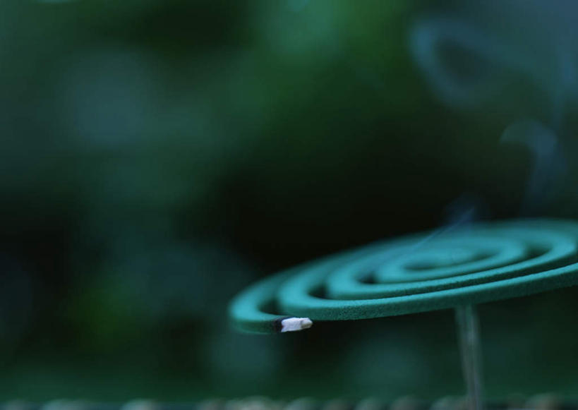 无人,横图,室外,特写,白天,正面,草地,草坪,植物,金属制品,阴影,朦胧,模糊,光线,金属,螺旋,蚊香,影子,架子,草,绿色,阳光,一盘,盘香,彩图,驱蚊物