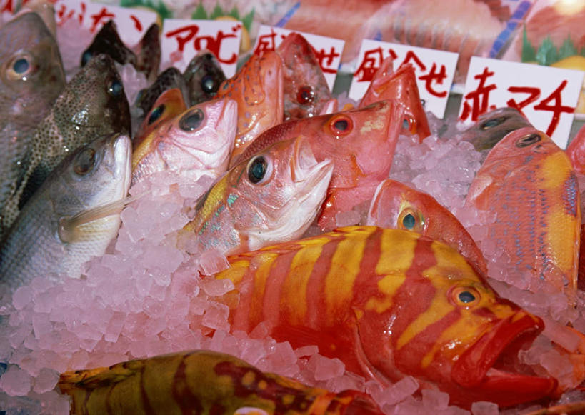 海鲜,无人,横图,俯视,室外,特写,白天,购物,消费,日本,亚洲,一堆,一排,许多,堆叠,堆积,整齐,鱼,冰,冰块,集市,市场,很多,冲绳,那霸,冷冻,水产,鱼类,海洋生物,排列,寒冷,金融,冷藏,堆,死亡,冲绳县,冰冷,队列,水生动物,海产品,水生物,选购,贸易,东亚,海底动物,琉球群岛,日本国,九州地方,县厅,保鲜,殒命,灭亡,那霸市,半身,彩图,高角度拍摄,鱼市,第一牧志公设市场
