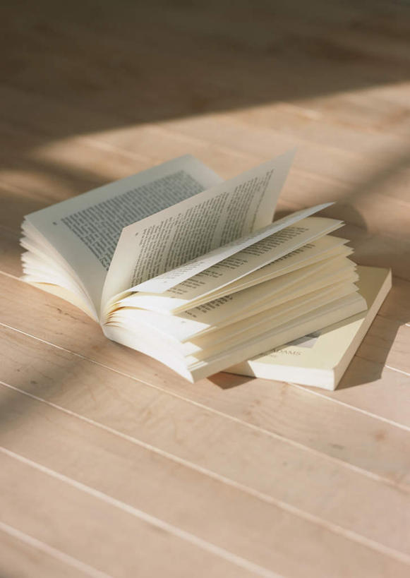 无人,竖图,俯视,室内,特写,白天,地板,静物,书籍,阴影,光线,影子,地面,木地板,阳光,打开,两本,开启,书,图书,彩图,高角度拍摄