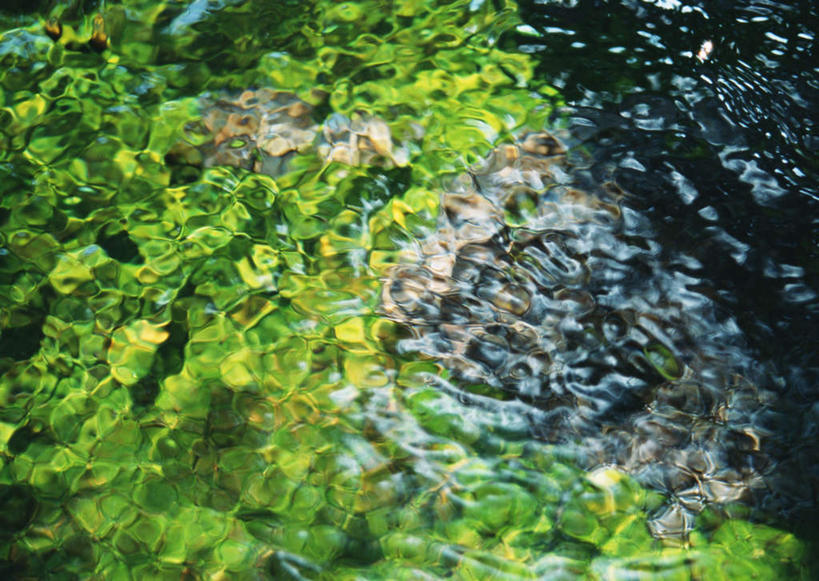 无人,横图,俯视,室外,特写,白天,旅游,度假,湖,湖泊,石头,美景,水,植物,日本,亚洲,波纹,石子,湖面,景观,水流,水面,水草,涟漪,娱乐,倒影,水纹,自然,波浪,湖水,享受,休闲,景色,放松,生长,成长,倒映,自然风光,东亚,本州,本州岛,日本国,岩手,岩手县,水晕,东北地方,反照,石块,岩石,彩图,高角度拍摄,岩手郡