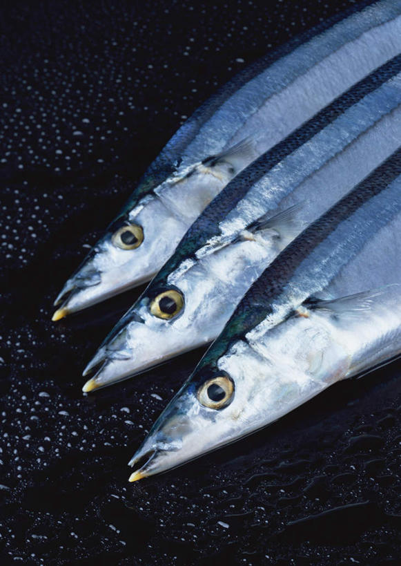 海鲜,无人,竖图,俯视,室内,特写,白天,餐桌,桌子,一排,阴影,整齐,反射,秋刀鱼,鱼,影子,水产,鱼类,海洋生物,排列,三条,竹刀鱼,餐台,刀鱼,队列,水生动物,海产品,水生物,海底动物,半身,彩图,高角度拍摄