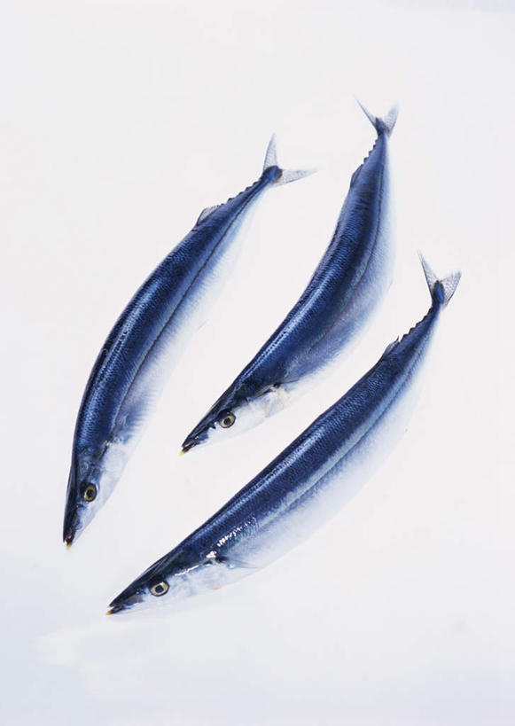 海鲜,无人,竖图,俯视,室内,特写,白天,白色背景,餐桌,桌子,一排,阴影,整齐,反射,秋刀鱼,鱼,影子,水产,鱼类,海洋生物,排列,摄影,影棚,三条,竹刀鱼,餐台,刀鱼,队列,水生动物,海产品,水生物,海底动物,彩图,高角度拍摄,全身,影棚拍摄,拍摄