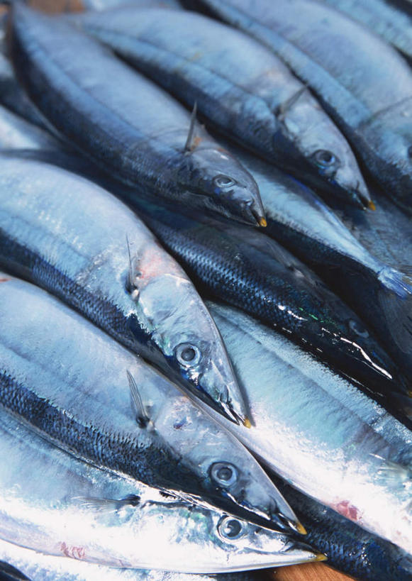 海鲜,无人,竖图,俯视,室外,特写,白天,一堆,许多,堆叠,堆积,秋刀鱼,鱼,很多,水产,鱼类,海洋生物,竹刀鱼,堆,刀鱼,水生动物,海产品,水生物,海底动物,半身,彩图,高角度拍摄