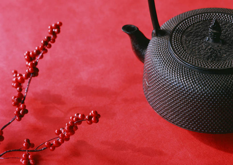 无人,横图,俯视,室内,特写,白天,植物,地板,盛开,壶,枝条,地面,花蕾,木地板,水壶,花,花瓣,花朵,鲜花,树,树木,树枝,一个,红色,黑色,茶壶,容器,花苞,花蕊,忧伤,单个,美好,善良,痛苦,忠诚,花楸,红果臭山槐,虬枝,枝杈,百华花楸,马加木,彩图,高角度拍摄,哭泣