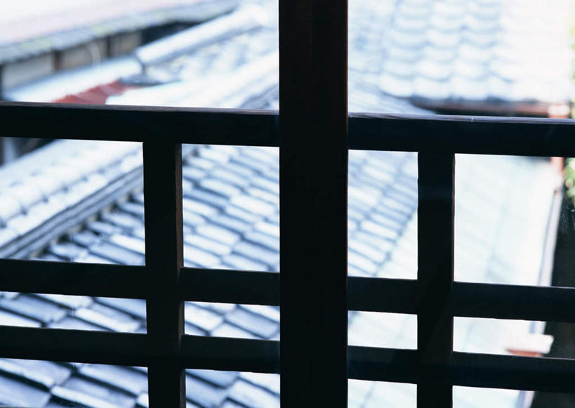 无人,家,栏杆,横图,俯视,室内,特写,白天,建筑,叶子,阴影,朦胧,模糊,光线,扶手,瓦片,影子,房屋,屋子,绿叶,瓦,护栏,楼房,住宅,阳光,嫩叶,瓦房,建造,屋瓦,叶,叶片,彩图,高角度拍摄,房子