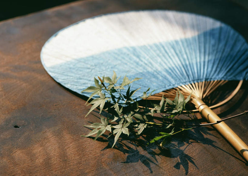 无人,横图,俯视,室内,特写,白天,植物,地板,叶子,一把,阴影,条纹,朦胧,模糊,反射,扇子,影子,绿叶,枝条,地面,清凉,凉爽,文化,木地板,树,树木,树枝,蓝色,嫩叶,虬枝,枝杈,叶,叶片,彩图,高角度拍摄,和风扇,和风扇子,凉扇,传统文化