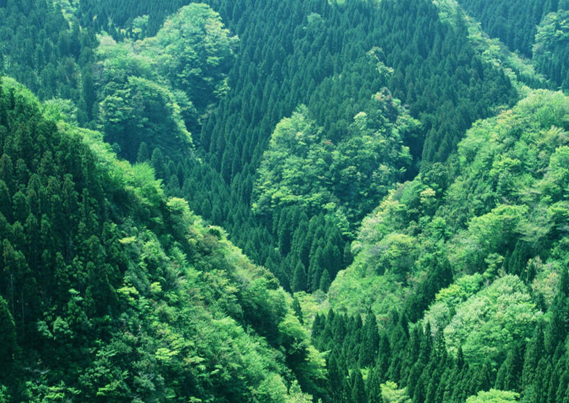 无人,横图,俯视,室外,白天,旅游,度假,石头,美景,森林,山,山脉,树林,植物,日本,亚洲,石子,景观,山峰,山峦,娱乐,树,树木,绿色,自然,群山,享受,休闲,景色,放松,生长,成长,自然风光,东亚,沉积岩,日本国,九州本岛,九州,九州岛,九州地方,宫崎,宫崎县,水成岩,石块,岩石,彩图,高角度拍摄,高千穗町,西臼杵郡