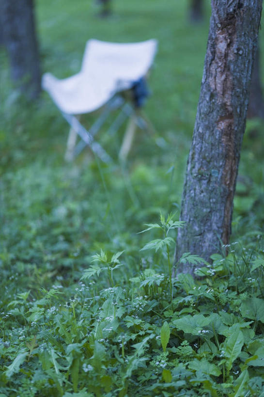 无人,竖图,室外,白天,正面,旅游,度假,草地,草坪,美景,植物,椅子,一把,朦胧,模糊,景观,娱乐,座椅,草,树,树木,绿色,白色,自然,享受,休闲,景色,放松,生长,成长,自然风光,折叠椅,彩图