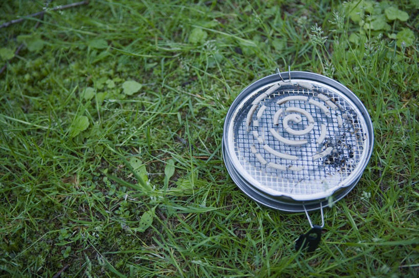 无人,横图,俯视,室外,特写,白天,草地,草坪,植物,叶子,金属制品,金属,螺旋,纹理,蚊香,绿叶,尘埃,架子,草,绿色,嫩叶,灰尘,尘土,肌理,盘香,叶,叶片,叶脉,彩图,高角度拍摄,驱蚊物