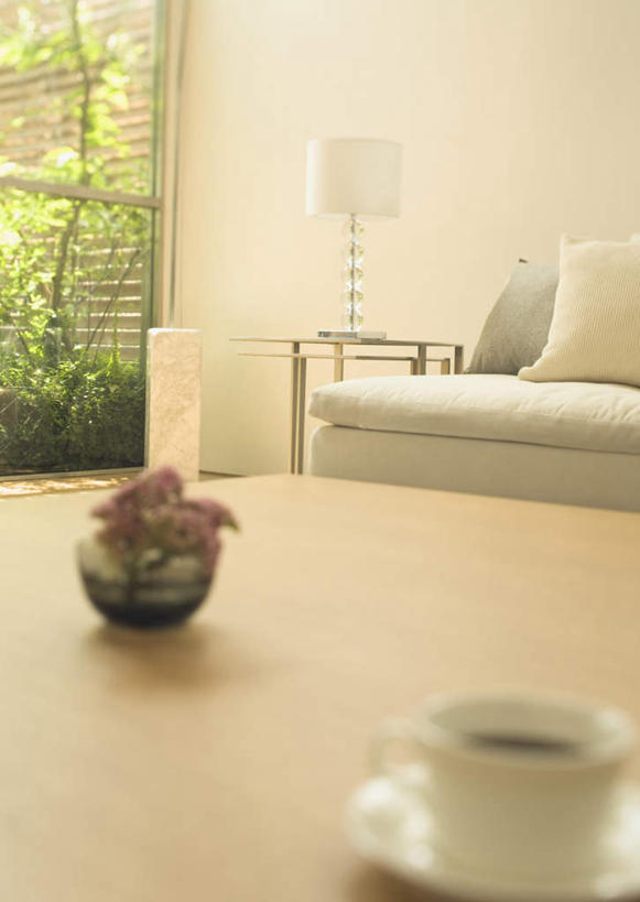 无人,家,客厅,竖图,室内,白天,正面,爱情,智慧,植物,别墅,窗户,家具,靠垫,沙发,台灯,装修,桌子,建筑,杯子,花瓶,照明,欧式,阴影,艺术,装饰,盛开,反射,木制,瓷器,影子,房屋,墙,屋子,公寓,灯光,咖啡杯,靠枕,陶瓷制品,豪华,花蕾,茶几,文化,建设,现代,装潢,洋房,楼房,玻璃窗,墙壁,墙面,住宅,玻璃制品,灯,花,花瓣,花朵,鲜花,树,树木,绿色,自然,插花,玻璃瓶,木制品,瓶子,灯具,垫子,室内装潢,枕头,花苞,花蕊,生长,成长,插花艺术,鸡冠花,样板房,明亮,照亮,创造,起居室,舒适,家居装潢,照明设备,创作,瓷杯,房屋设计,地中海风格,古典风格,简约风格,想象,布艺沙发,室内设计,宽敞,样板房装潢,鸡髻花,老来红,芦花鸡冠,真挚,坚贞,鸡公花,客堂,设计,彩图,房子