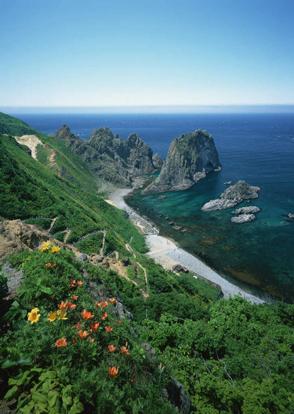 无人,竖图,俯视,室外,白天,旅游,度假,海浪,海洋,花海,花圃,石头,美景,森林,沙滩,山,山脉,树林,植物,叶子,北海道,日本,亚洲,阴影,盛开,光线,沙子,石子,影子,海岸,景观,浪花,山顶,山峰,水平线,辽阔,海平线,沙地,山峦,花蕾,娱乐,花,花瓣,花朵,花卉,鲜花,树,树木,蓝色,绿色,蓝天,天空,阳光,自然,海水,花丛,花束,花田,群山,天,花苞,花蕊,享受,休闲,广阔,景色,放松,生长,晴朗,成长,一望无际,自然风光,海景,东亚,沉积岩,万里无云,日本国,北海道地方,北海道岛,无边无际,一马平川,颠峰,极峰,水成岩,大海,风浪,海,海水的波动,海滩,近岸浪,石块,岩石,涌浪,晴空,晴空万里,彩图,高角度拍摄,后志综合振兴局,振兴局,积丹郡,积丹町,水天相接,水天一线