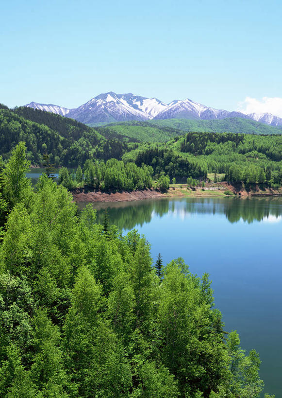 无人,公园,竖图,室外,白天,正面,旅游,度假,海浪,海洋,石头,美景,森林,山,树林,雪,雪山,植物,大雪,北海道,日本,亚洲,阴影,光线,石子,影子,冰,积雪,景观,浪花,山顶,山峰,雪景,冬季,冬天,山峦,娱乐,树,树木,蓝色,绿色,倒影,蓝天,天空,阳光,自然,海水,天,享受,休闲,景色,放松,寒冷,生长,晴朗,成长,冰冷,倒映,自然风光,海景,东亚,沉积岩,万里无云,日本国,北海道地方,北海道岛,严寒,冰凉,酷寒,凛冽,凛凛,极冷,国立公园,层云峡,颠峰,极峰,反照,水成岩,大海,风浪,海,海水的波动,近岸浪,石块,岩石,涌浪,晴空,晴空万里,彩图,大雪山国立公园