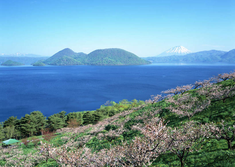 无人,横图,室外,白天,正面,旅游,度假,幸福,纯洁,海浪,海洋,石头,美景,森林,山,山脉,树林,植物,樱花,北海道,日本,亚洲,阴影,盛开,光线,石子,影子,景观,浪花,山顶,山峰,山峦,花蕾,娱乐,花,花瓣,花朵,鲜花,树,树木,蓝色,绿色,蓝天,天空,阳光,自然,海水,群山,天,花苞,花蕊,享受,休闲,景色,放松,生长,晴朗,成长,等待,生命,自然风光,海景,东亚,沉积岩,万里无云,日本国,北海道地方,北海道岛,仙樱花,福岛樱,青肤樱,高尚,热烈,颠峰,极峰,水成岩,大海,风浪,海,海水的波动,近岸浪,石块,岩石,涌浪,晴空,晴空万里,荆桃,彩图,胆振综合振兴局,有珠郡,壮瞥町,胆振支厅,道央