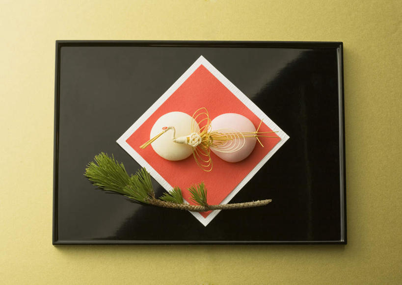 点心,无人,横图,俯视,室内,特写,白天,植物,松树,餐具,阴影,黄色背景,反射,碟子,盘,影子,纸,料理,食品,面点,馒头,美食,食物,两个,红色,绿色,黑色,自然,盘子,碟,中式,摄影,影棚,生长,成长,坚定,长寿,贞洁,彩图,高角度拍摄,影棚拍摄,拍摄