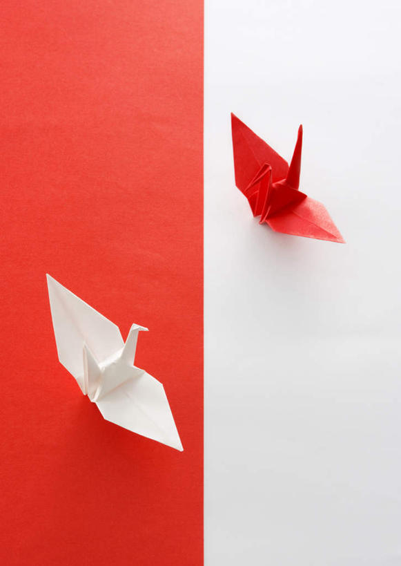 无人,竖图,俯视,室内,特写,白天,静物,阴影,艺术,反射,影子,折纸,纸艺,手工艺品,千纸鹤,文化,红色,白色,纸鹤,纸制品,工艺品,两只,高雅,工艺折纸,自信心,品位,彩图,高角度拍摄