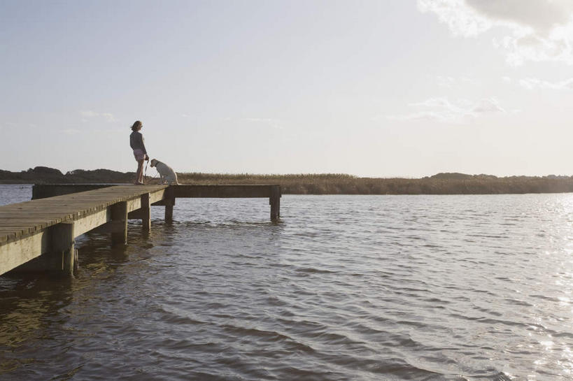 西方人,一个人,码头,站,横图,室外,白天,旅游,度假,湖,湖泊,美景,森林,树林,水,植物,港口,宠物,狗,欧洲,美国,欧洲人,仅一个女性,仅一个人,阴影,波纹,服装,光线,木板,影子,湖面,景观,水流,水面,桥,木桥,涟漪,拉布拉多,休闲装,娱乐,拉布拉多猎犬,栈桥,树,树木,一只,背面,衣服,蓝色,绿色,倒影,蓝天,水纹,天空,阳光,自然,动物,波浪,湖水,天,站着,仅一个中年女性,享受,休闲,休闲服,景色,放松,可爱,服饰,生长,晴朗,成长,人行桥,木板桥,倒映,北美,北美洲,自然风光,美洲,拉布拉多犬,忠诚,万里无云,马萨诸塞州,麻州,麻省,马萨诸塞,麻塞诸塞,老殖民地,海湾之州,水晕,北亚美利加洲,亚美利加洲,反照,女人,女性,中年女性,白种人,晴空,晴空万里,犬,站立,彩图,全身,摆渡口,埠头,渡口,渡头,港湾,海港,货运码头,口岸,商港