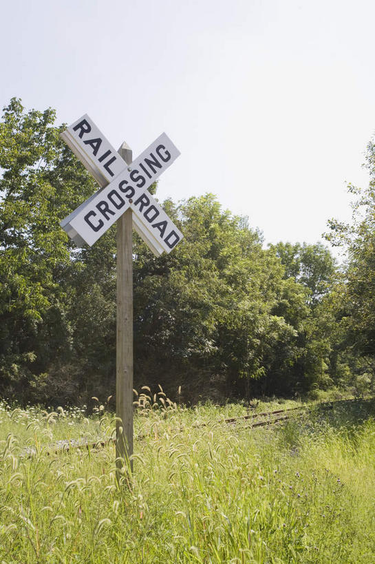 无人,竖图,室外,白天,正面,旅游,度假,草地,草坪,美景,森林,树林,植物,美国,英文,标志,文字,字符,字母,景观,警告,娱乐,标识,草,树,树木,绿色,自然,享受,休闲,景色,放松,警示,生长,成长,英文字母,禁止,提醒,北美,北美洲,提示,限制,自然风光,美洲,新泽西,北亚美利加洲,亚美利加洲,新泽西州,新州,花园之州,花园州,危险,彩图