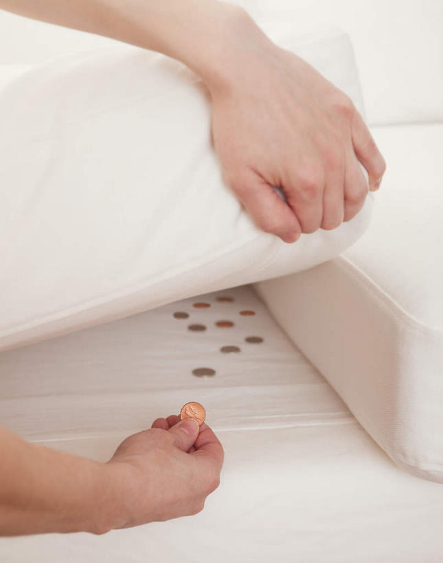 西方人,手,一个人,竖图,室内,特写,白天,正面,钱,美元,床,卧室,欧洲,欧洲人,双手,仅一个女性,仅一个人,许多,躲藏,握,阴影,反射,钱币,影子,床单,被子,排列,仅一个中年女性,手部,握着,金融,单人床,经济,隐蔽,隐藏,被单,埋没,流通,贸易,潜藏,摆列,暗藏,货币,现金,硬币,女人,女性,中年女性,白种人,半身,彩图,睡房,卧房,布列,分列