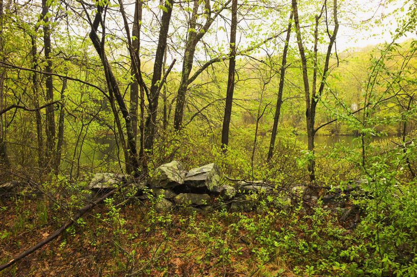 无人,横图,室外,白天,正面,旅游,度假,石头,美景,植物,英国,欧洲,阴影,光线,石子,影子,景观,娱乐,树,树木,绿色,阳光,自然,享受,休闲,景色,放松,生长,成长,西欧,自然风光,大不列颠,大不列颠及北爱尔兰联合王国,大不列颠联合王国,日不落英帝国,贝德福德郡,石块,岩石,彩图