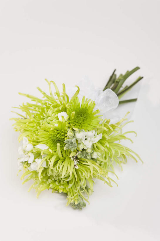 无人,竖图,俯视,室内,特写,白天,白色背景,阴影,盛开,反射,捧花,手捧花,影子,花蕾,花,花瓣,花朵,鲜花,一个,绿色,白色,花束,花苞,花蕊,摄影,影棚,单个,婚礼捧花,彩图,高角度拍摄,影棚拍摄,拍摄