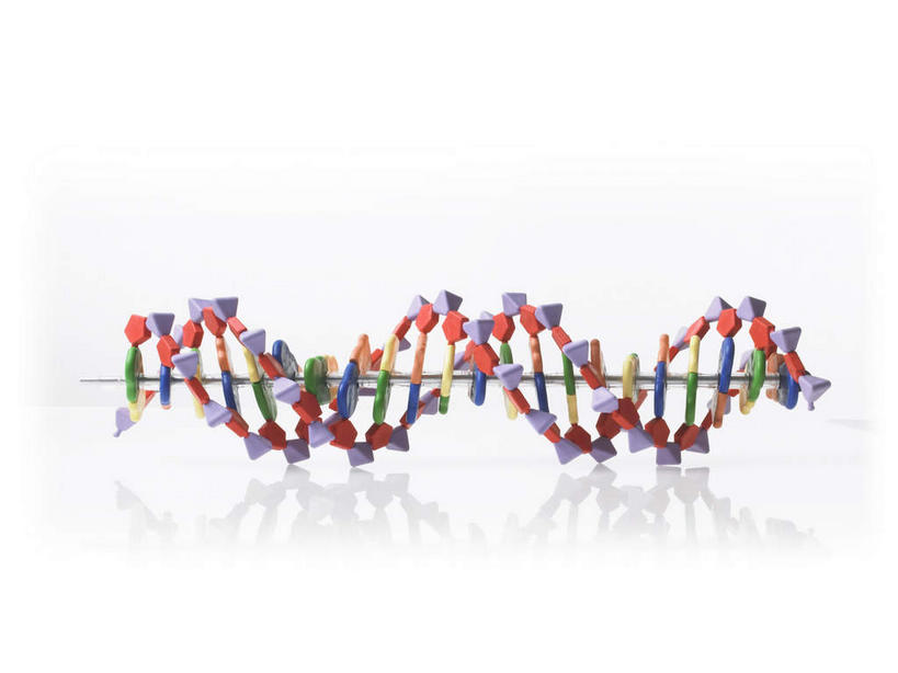 无人,横图,彩色,室内,特写,白天,白色背景,正面,静物,阴影,反射,科学,基因,螺旋,影子,柱子,一个,模型,生物,摄影,影棚,遗传,单个,脱氧核糖核酸,DNA分子,去氧核糖核酸,遗传信息,遗传因子,遗传学,彩图,影棚拍摄,拍摄