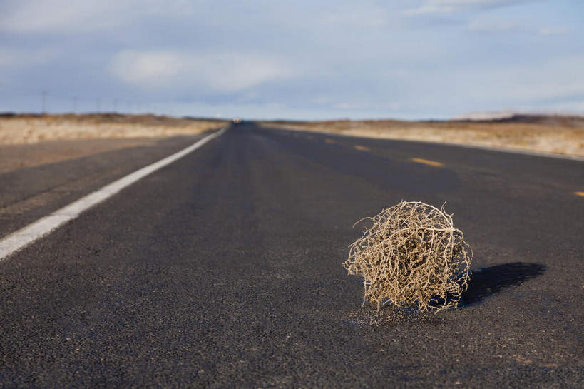 无人,横图,室外,白天,正面,消失点,旅游,度假,美景,道路,路,公路,美国,阴影,朦胧,模糊,光线,影子,景观,云,云朵,分界线,停车线,交通,云彩,娱乐,蓝色,白云,蓝天,天空,阳光,自然,天,享受,休闲,景色,放松,晴朗,车行道,车行道分界线,亚利桑那,北美,北美洲,自然风光,努力,标线,美洲,改变,超越,坚持,亚利桑那州,车行线,大峡谷之州,北亚美利加洲,亚美利加洲,流浪,风滚草,滚草,晴空,马路,彩图