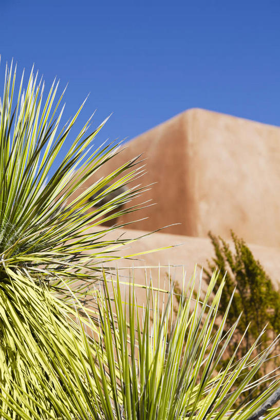 无人,公园,竖图,室外,白天,正面,旅游,度假,草地,草坪,美景,山,山脉,植物,叶子,美国,阴影,光线,影子,景观,山峰,绿叶,山峦,娱乐,草,蓝色,绿色,蓝天,天空,阳光,自然,群山,天,享受,休闲,嫩叶,景色,放松,晴朗,北美,北美洲,国家公园,自然风光,美洲,新墨西哥,万里无云,新墨西哥州,北亚美利加洲,亚美利加洲,迷人之地,迷人之州,白沙国家纪念碑,白沙国家公园,叶,叶片,晴空,晴空万里,彩图