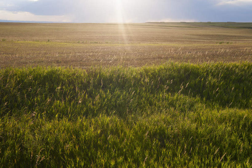 无人,横图,室外,白天,正面,旅游,度假,草地,草原,美景,植物,美国,阴影,梦幻,发光,光束,光线,影子,地平线,景观,旷野,云,云朵,辽阔,地面,光亮,云彩,娱乐,草,蓝色,绿色,白云,蓝天,天空,阳光,自然,天,享受,休闲,广阔,景色,放松,晴朗,一望无际,北美,北美洲,未来,发亮,自然风光,原野,延伸,美洲,憧憬,南达科他州,天地相交,北亚美利加洲,亚美利加洲,南达科他,草狼之州,晴朗之州,无边无际,一马平川,晴空,彩图