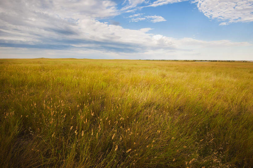 无人,横图,全景,室外,白天,正面,旅游,度假,草地,草原,美景,天际线,植物,美国,阴影,光线,影子,地平线,景观,旷野,云,云朵,辽阔,地面,云彩,娱乐,草,蓝色,绿色,白云,蓝天,天空,阳光,自然,天,享受,休闲,广阔,景色,放松,晴朗,一望无际,北美,北美洲,自然风光,原野,延伸,美洲,南达科他州,天地相交,北亚美利加洲,亚美利加洲,南达科他,草狼之州,晴朗之州,无边无际,一马平川,晴空,彩图