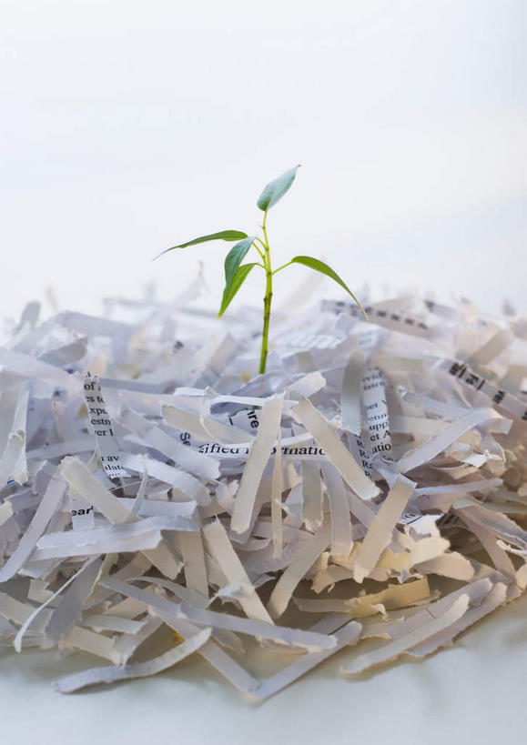 无人,竖图,俯视,室内,特写,白天,植物,叶子,一堆,阴影,堆叠,堆积,反射,影子,绿叶,纸屑,绿色,自然,嫩叶,摄影,影棚,生长,成长,堆,碎纸,碎纸条,叶,叶片,彩图,高角度拍摄,影棚拍摄,拍摄