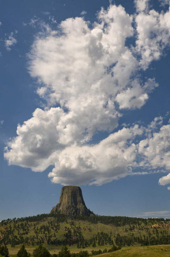 无人,竖图,室外,白天,正面,旅游,度假,石头,美景,森林,山,山脉,树林,植物,美国,阴影,光线,石子,影子,景观,山峰,云,云朵,纪念碑,山峦,云彩,娱乐,树,树木,蓝色,绿色,白云,蓝天,天空,阳光,自然,群山,天,享受,休闲,景色,放松,生长,晴朗,成长,北美,北美洲,自然风光,美洲,怀俄明州,怀俄明,北亚美利加洲,亚美利加洲,平等之州,魔鬼塔,魔鬼塔国家纪念碑,石块,岩石,晴空,彩图