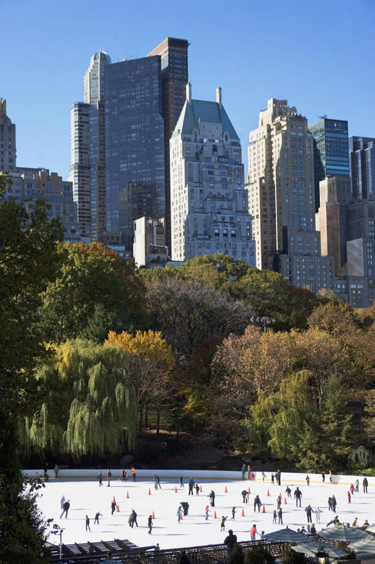 无人,高楼大厦,竖图,室外,白天,仰视,度假,办公楼,美景,树林,植物,城市风光,城市,大厦,建筑,摩天大楼,写字楼,纽约,美国,阴影,光线,影子,景观,曼哈顿,娱乐,树,树木,蓝色,绿色,蓝天,天空,阳光,自然,楼宇,天,享受,休闲,商务楼,景色,放松,生长,晴朗,成长,北美,北美洲,美洲,中央公园,纽约中央公园,纽约州,万里无云,帝国之州,帝国州,北亚美利加洲,亚美利加洲,晴空,晴空万里,彩图,低角度拍摄,大楼,高层建筑,高楼,摩天楼,曼哈顿岛