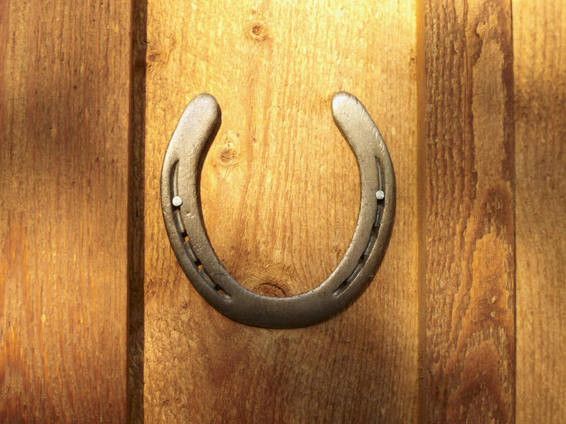 无人,横图,室外,特写,白天,正面,静物,金属制品,阴影,光线,金属,木制,影子,墙,墙壁,墙面,一个,阳光,木制品,单个,马蹄铁,彩图