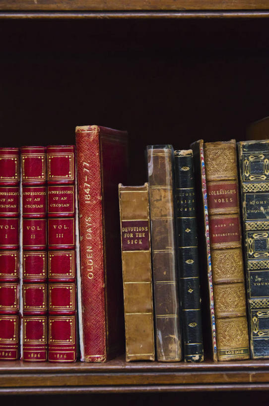 无人,竖图,室内,特写,白天,正面,静物,书籍,一排,许多,古老,破旧,整齐,陈旧,木制,很多,排列,木制品,书柜,书橱,古董,队列,古玩,陈腐,书,图书,彩图