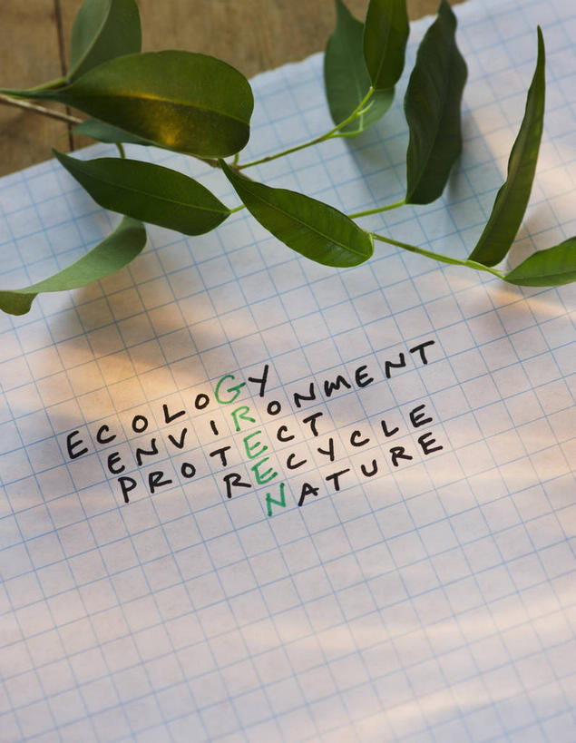 无人,竖图,俯视,室内,特写,白天,游戏,植物,桌面,桌子,叶子,木制,英文,标志,材料,档案,文件,文字,纸,字符,字母,绿叶,枝条,玩,娱乐,标识,树,树木,树枝,木制品,手稿,资料,休闲,嫩叶,益智,摄影,影棚,活动,英文字母,证明,发泄,消遣,智力,文档,填字游戏,宣泄,虬枝,枝杈,叶,叶片,玩耍,嬉戏,彩图,高角度拍摄,影棚拍摄,拍摄,纵横字谜