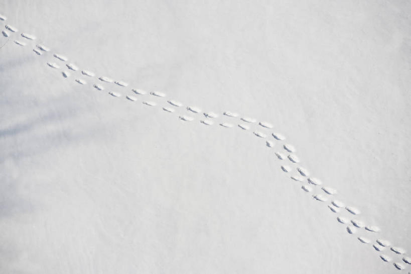 无人,横图,俯视,室外,特写,白天,美景,雪,大雪,纽约,美国,一排,许多,脚印,阴影,整齐,光线,影子,积雪,景观,雪景,冬季,冬天,很多,哈德逊河,排列,阳光,自然,景色,寒冷,足迹,北美,北美洲,队列,自然风光,美洲,纽约州,帝国之州,帝国州,北亚美利加洲,亚美利加洲,严寒,行踪,脚迹,赫逊河,彩图,高角度拍摄,美利坚合众国