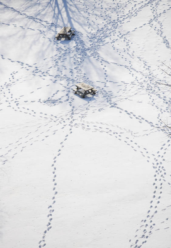 无人,竖图,俯视,室外,白天,美景,雪,大雪,椅子,纽约,美国,一排,许多,脚印,阴影,整齐,光线,影子,木椅,积雪,景观,雪景,冬季,冬天,很多,哈德逊河,排列,阳光,自然,景色,寒冷,足迹,北美,北美洲,队列,自然风光,美洲,纽约州,帝国之州,帝国州,北亚美利加洲,亚美利加洲,严寒,行踪,脚迹,赫逊河,彩图,高角度拍摄,美利坚合众国