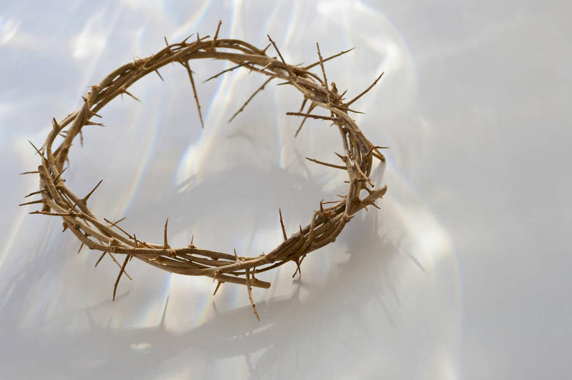 无人,横图,俯视,室内,特写,白天,白色背景,静物,阴影,装饰,光线,圆形,花环,图形,影子,圆,几何,一个,阳光,摄影,影棚,单个,华丽,修饰,点缀,锋利,尖锐,数学,荆棘,尖利,衬托,美观,雅致,雅观,犀利,波折,彩图,高角度拍摄,影棚拍摄,拍摄,几何图形,平面图形