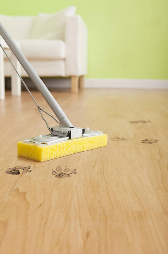 无人,客厅,竖图,室内,白天,正面,地板,沙发,脚印,阴影,反射,工具,影子,地面,木地板,拖把,一个,清洁,单个,足迹,卫生,起居室,保洁,布艺沙发,行踪,脚迹,客堂,彩图