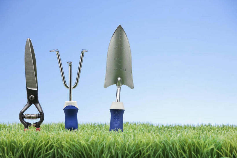 无人,横图,室外,特写,白天,正面,草地,草坪,植物,金属制品,一排,修剪,阴影,整齐,并列,并排,光线,金属,铲子,工具,剪刀,影子,园艺工具,园艺,草,排列,三个,蓝色,绿色,蓝天,天空,阳光,天,晴朗,裁剪,剪子,剪裁,切割,队列,平行,万里无云,篱笆剪,整篱剪,晴空,晴空万里,彩图,大平剪,绿篱剪,手铲