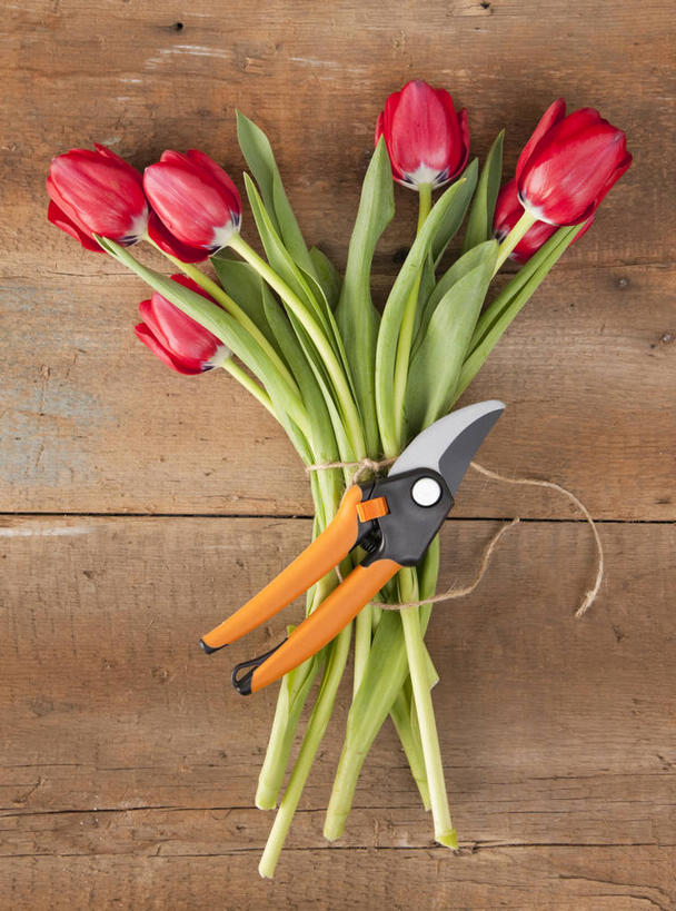 无人,竖图,俯视,室内,特写,白天,爱情,桌面,桌子,郁金香,一把,修剪,阴影,盛开,反射,木制,工具,剪刀,影子,园艺工具,园艺,祝福,花蕾,花,花瓣,花朵,鲜花,红色,木制品,花苞,花蕊,裁剪,剪子,剪裁,切割,表白,荣誉,永恒,篱笆剪,整篱剪,郁香,洋荷花,草麝香,彩图,高角度拍摄,大平剪,绿篱剪