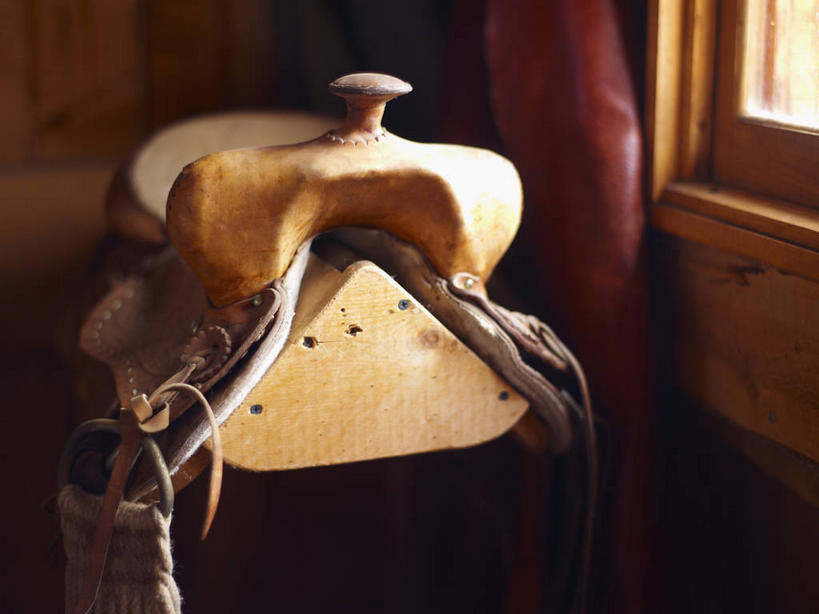 无人,横图,俯视,室内,特写,白天,窗户,窗帘,静物,阴影,朦胧,模糊,装饰,反射,影子,皮革,玻璃窗,座位,马鞍,两个,帘子,遮阳,华丽,修饰,点缀,衬托,美观,雅致,雅观,马具,彩图,高角度拍摄