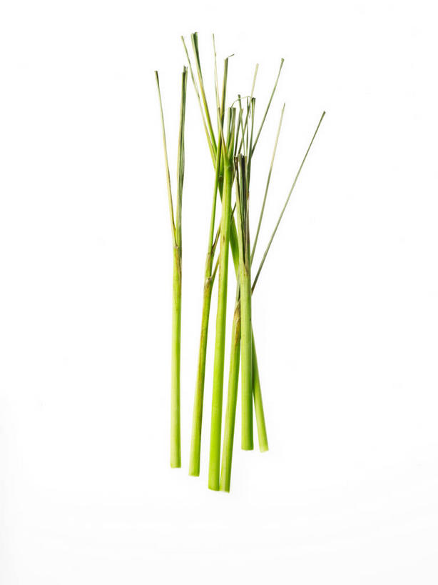 无人,竖图,俯视,室内,特写,白天,白色背景,一堆,许多,阴影,堆叠,堆积,反射,影子,调味,香料,佐料,香茅,柠檬草,绿色,摄影,影棚,堆,作料,彩图,高角度拍摄,影棚拍摄,拍摄