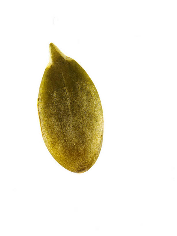 无人,竖图,俯视,室内,特写,白天,白色背景,南瓜,阴影,反射,影子,金瓜,种子,番瓜,一个,绿色,摄影,影棚,单个,麦瓜,倭瓜,南瓜子,彩图,高角度拍摄,影棚拍摄,拍摄