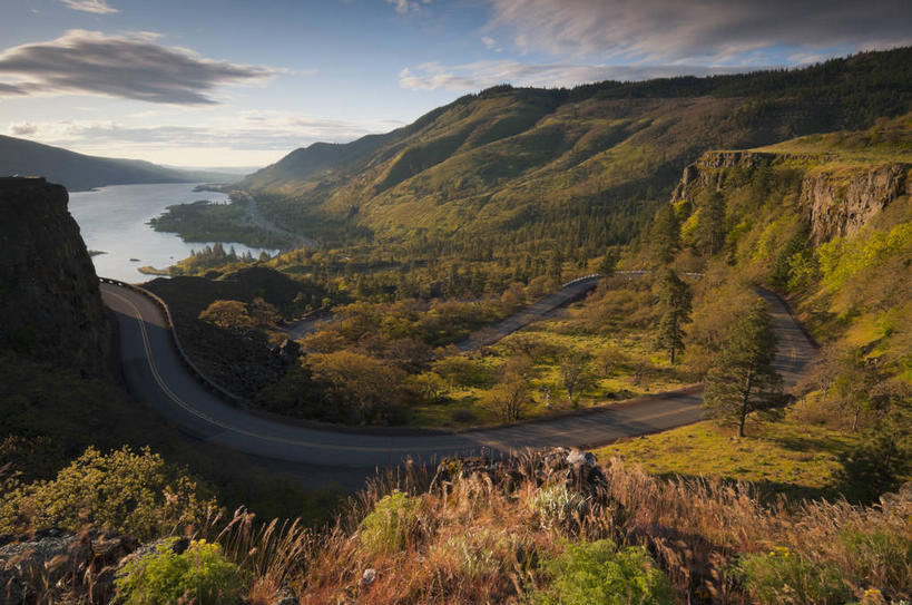 无人,横图,俯视,室外,白天,旅游,度假,美景,森林,山,山脉,树林,植物,道路,路,美国,阴影,光线,影子,高地,景观,山峰,云,云朵,小路,交通,山峦,云彩,娱乐,树,树木,蓝色,绿色,白云,蓝天,天空,阳光,自然,群山,天,享受,休闲,景色,放松,生长,晴朗,成长,北美,北美洲,自然风光,美洲,河谷,俄勒冈州,哥伦比亚河谷,俄勒冈,北亚美利加洲,亚美利加洲,落日之州,水獭之州,海狸州,哥伦比亚谷,哥伦比亚山谷,晴空,彩图,高角度拍摄