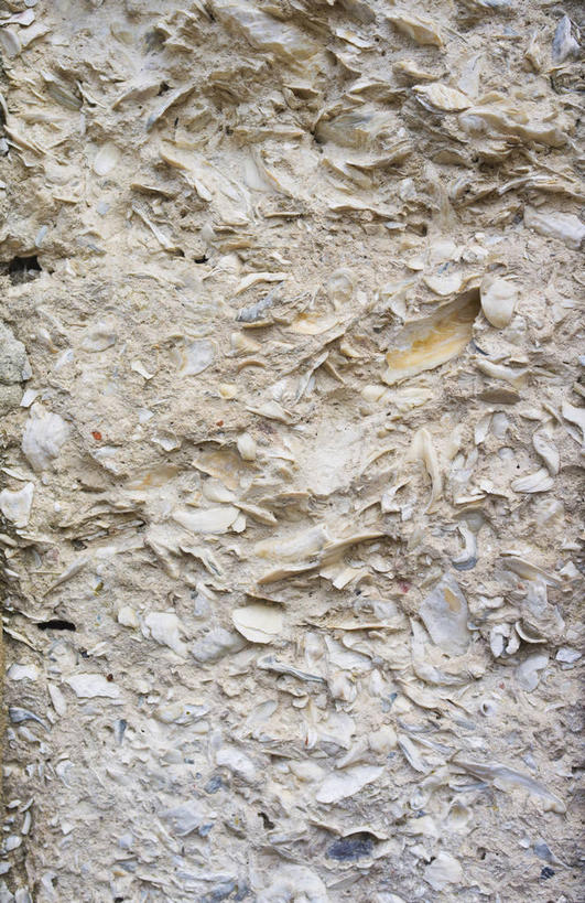 无人,竖图,室外,特写,白天,正面,建材,建筑,静物,美国,材料,墙,混凝土,水泥,墙壁,墙面,建造,北美,北美洲,美洲,佐治亚州,萨凡纳,佐治亚,乔治亚州,南方帝国州,北亚美利加洲,亚美利加洲,萨瓦纳,萨王纳,彩图