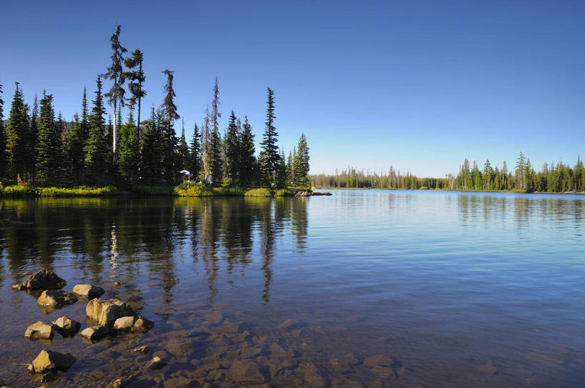 无人,横图,室外,白天,正面,旅游,度假,湖,湖泊,石头,美景,森林,树林,水,植物,松树,美国,阴影,波纹,光线,石子,影子,湖面,景观,水流,水面,涟漪,娱乐,树,树木,蓝色,绿色,倒影,蓝天,水纹,天空,阳光,自然,波浪,湖水,天,享受,休闲,景色,放松,生长,晴朗,成长,倒映,北美,北美洲,自然风光,坚定,美洲,俄勒冈州,万里无云,俄勒冈,水晕,北亚美利加洲,亚美利加洲,长寿,贞洁,落日之州,水獭之州,海狸州,反照,石块,岩石,晴空,晴空万里,彩图,美利坚合众国