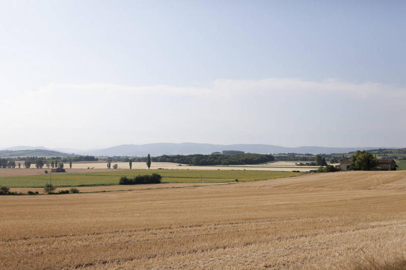 无人,农田,横图,室外,白天,正面,旅游,度假,庄稼,农作物,小麦,草地,草坪,美景,植物,法国,欧洲,阴影,光线,影子,景观,云,云朵,谷物,麦田,云彩,娱乐,草,树,树木,蓝色,绿色,白云,蓝天,天空,阳光,自然,天,享受,休闲,景色,放松,麦子,生长,晴朗,成长,西欧,法兰西,自然风光,法兰西共和国,法兰西第五共和国,晴空,彩图,耕地,庄稼田,德龙省,格里尼昂,罗讷.阿尔卑斯,罗讷.阿尔卑斯大区