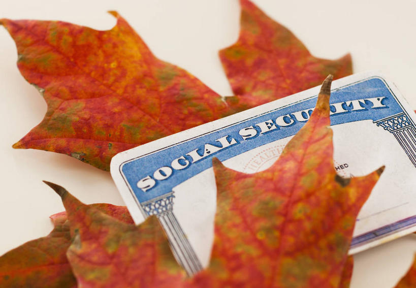 无人,横图,俯视,室内,特写,白天,白色背景,桌面,桌子,叶子,阴影,反射,英文,标志,文字,影子,字符,字母,枫叶,枯叶,落叶,利益,标识,黄色,红色,卡片,摄影,影棚,枫树叶,英文字母,保护,保障,叶,叶片,彩图,高角度拍摄,影棚拍摄,拍摄